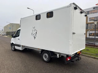 Mercedes-Benz Sprinter 2014 - 316CDI Paardenwagen/schapen pony's/ en klein vee /Veewagen Airco Cruisecontrol Trekhaak afbeelding 5