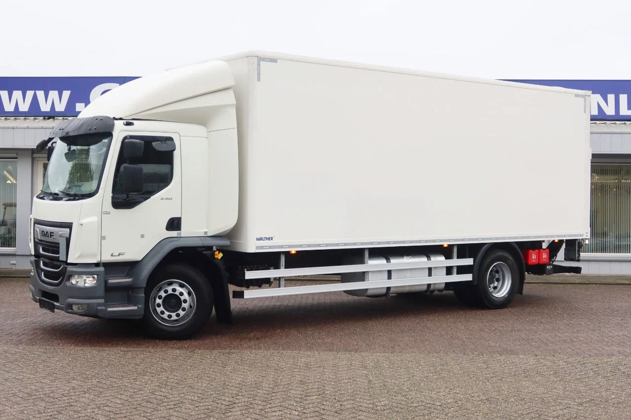 DAF 2500 2021 - LF 290 Bak+Klep Dhollandia KG afbeelding 13