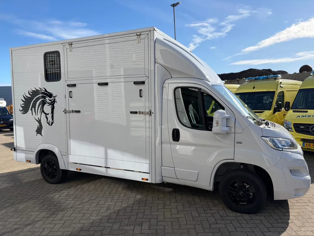 Opel Movano 2023 - Paardenwagen/Veewagen Hengsten Uitvoering Airco Cruisecontrol NIEUW obrázek 3