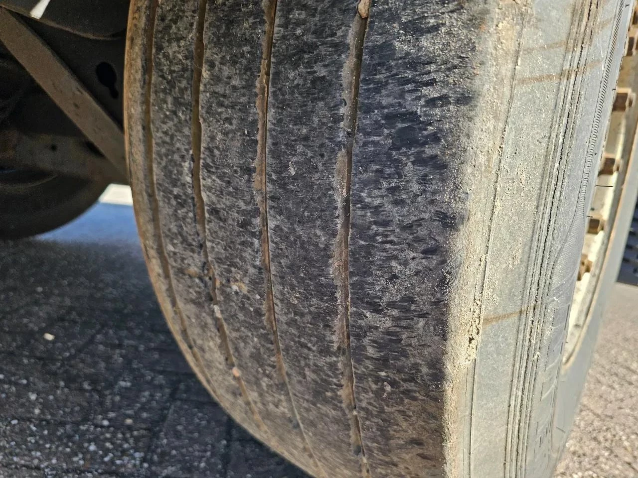 Krone 2015 zdjęcie 19