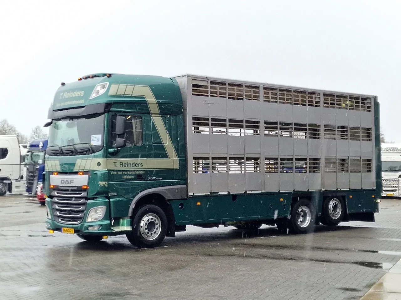 DAF XF 440 2015 - SuperSpaceCab 6x2*4 - Cuppers 1-2-3 deck Livestock obrázek 14