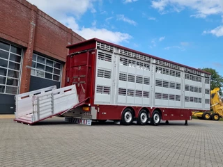 Pezzaioli N/A 2025 - New - 3 deck livestock 100M2 - Water & Ventilation - Lifting floors - Lifting roof - NEW 2025 obrazek 7