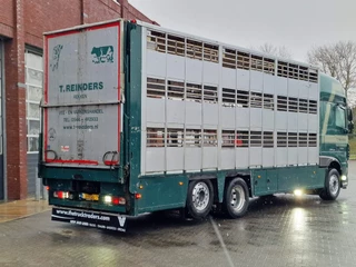 DAF XF 440 2015 - SuperSpaceCab 6x2*4 - Cuppers 1-2-3 deck Livestock + Cuppers 3 deck trailer 2009 obrazek 24
