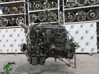 DAF - 2190203 // 1904700 // 1884746 // MX-13 303 H1 DAF XF CF EURO 6 te koop
