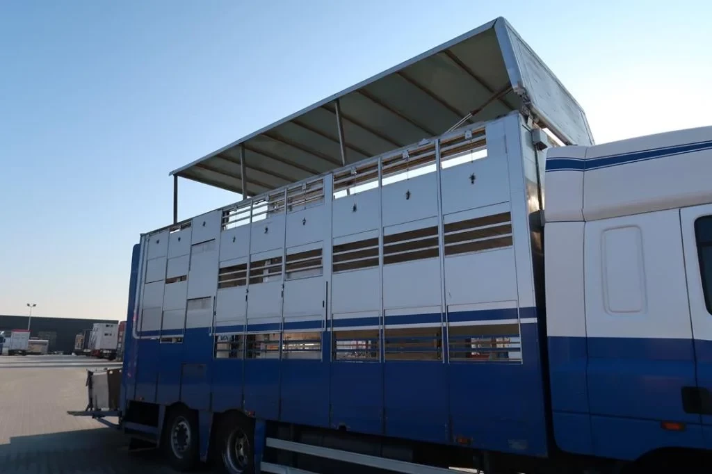 CUPPERS - Cuppers veebak - Cuppers box for sows and pigs imagem 2