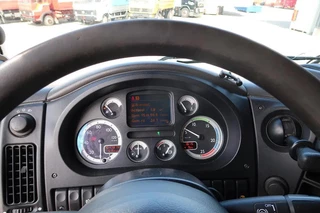 DAF XF 105 2012 - XF 105-460 - 2012 - 2-3 floors, Pigs transport zdjecie 7