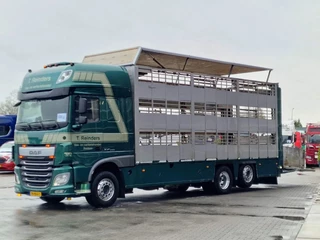 DAF XF 440 2015 - SuperSpaceCab 6x2*4 - Cuppers 1-2-3 deck Livestock imagen 3
