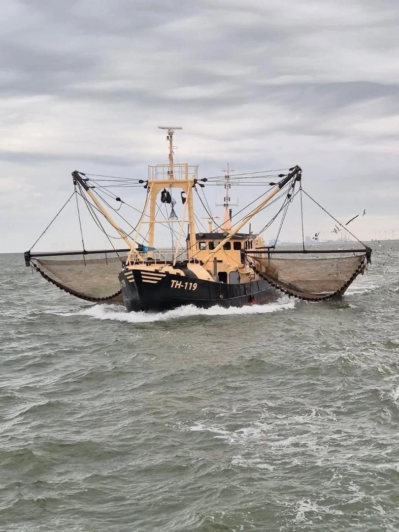 DEO VOLENTE Fishing boat - Eurocutter 1983 afbeelding 1
