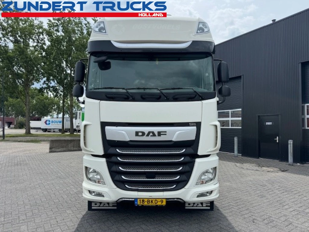 DAF XF480 2018 - SUPERSPACECAB, STANDCLIMA, 2 TANKS, 2 BEDS afbeelding 2