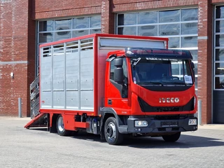 Iveco Eurocargo 2018 - 75.190 - Finkl Livestock 1 deck - 9.07 M 2 - Air suspension - Euro 6 te koop