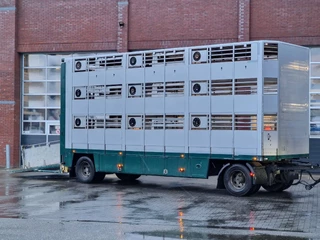 CUPPERS LVA 10-10 AL 2009 - 3 deck livestock trailer - BPW Axle - Folding roof zdjecie 14