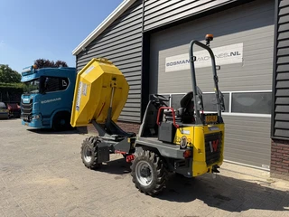 Neuson DW20 wieldumper / dumper LEASE €370.- 2023 afbeelding 3 miniatuur