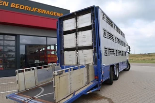 DAF XF 105 2012 - XF 105-460 - 2012 - 2-3 floors, Pigs transport zdjecie 2