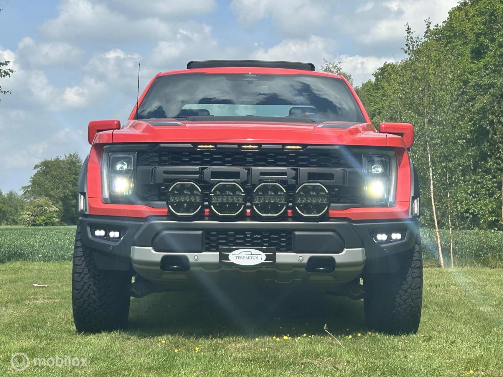 Ford F-150 2024 - USA Raptor image 5