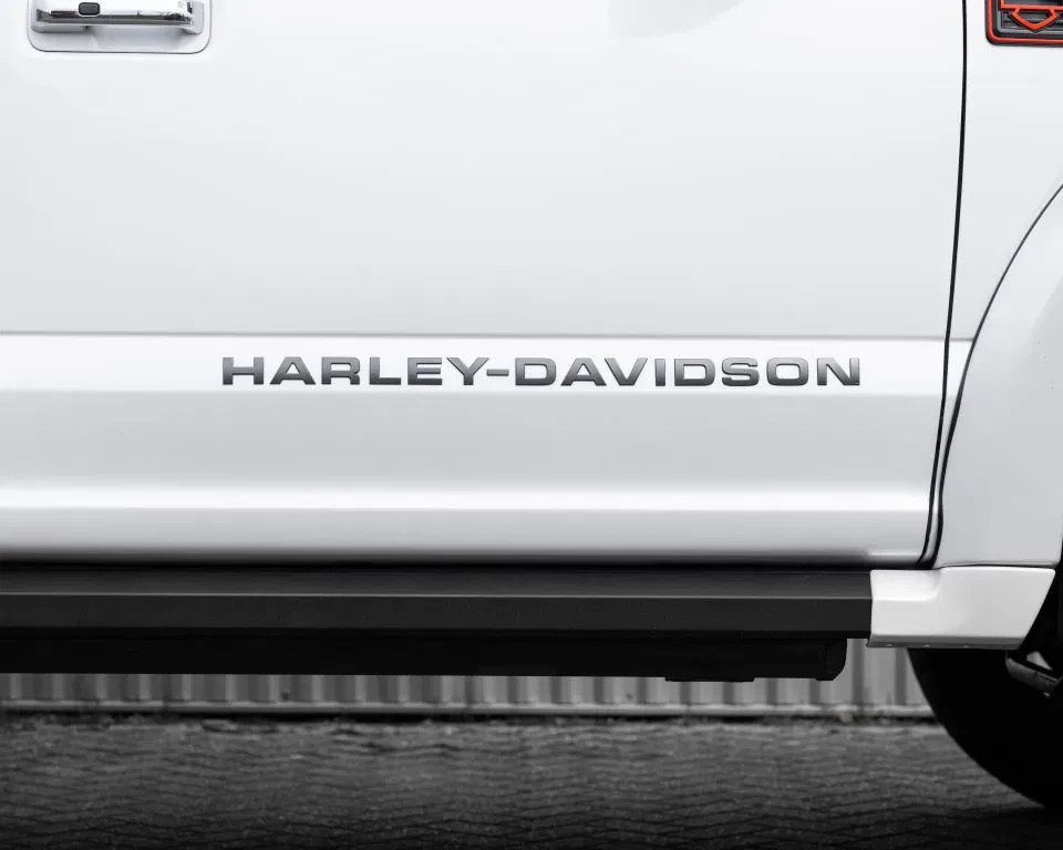Ford F-150 2019 - (USA) Harley Davidson V8 5.0L Tuscany Motor Co. afbeelding 19