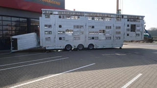 Pezzaioli N/A 2026 - SBA 31 U - NEW - Michelin tires afbeelding 8