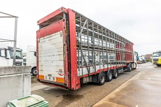 Lecitrailer N/A 2012 - CUELLO CISNE 3E-RD+DOUBLE ETAGE+DHOLLANDIA 2TON image 5