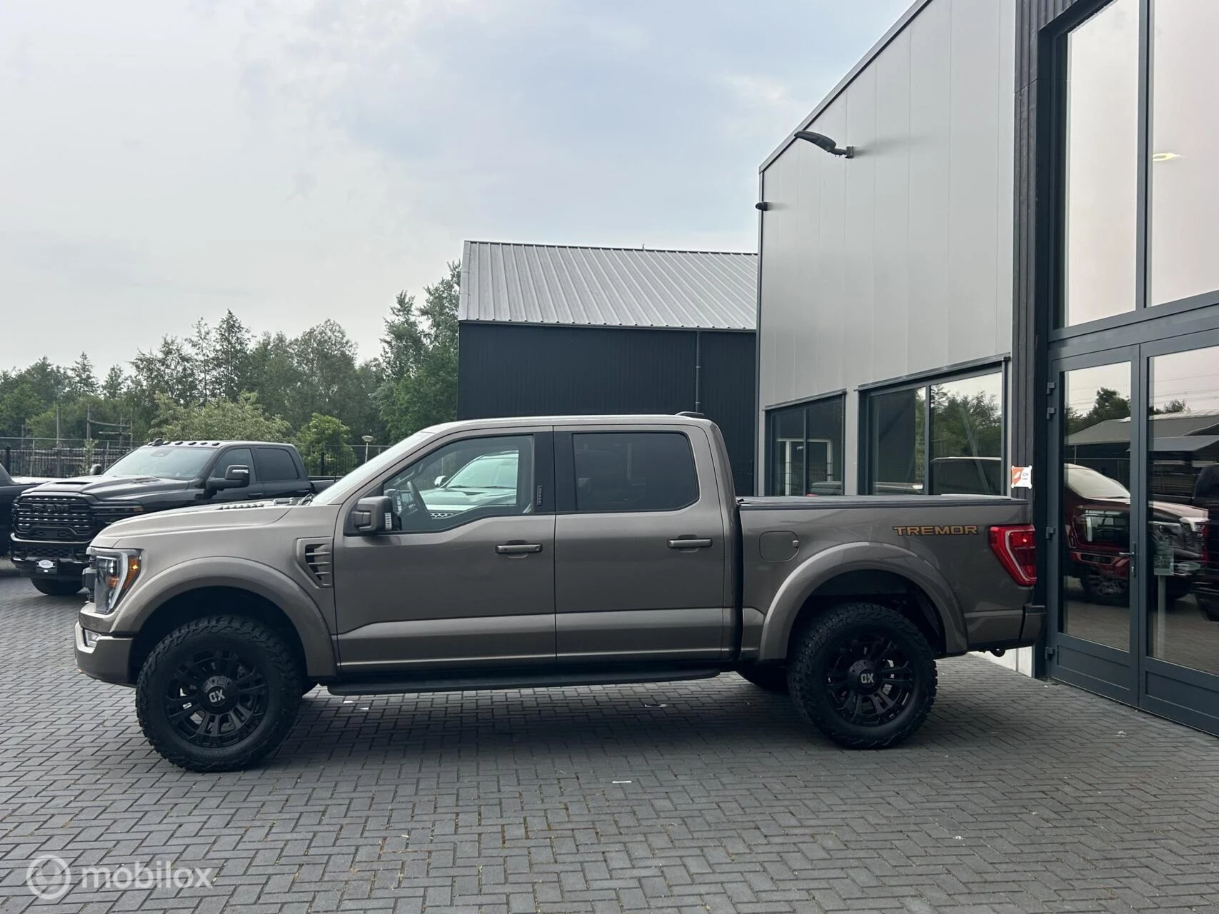 Ford F-150 2022 - USA 3.5 V6 Ecoboost SuperCrew afbeelding 8