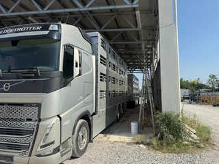Volvo FH 2020 - 13.500 FH5 500 4 Deks Pezzaioli compleet afbeelding 3 miniatuur