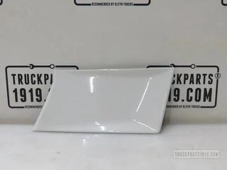 Scania N/A - 2978844 Afdekkap grill Li. Scania afbeelding 1