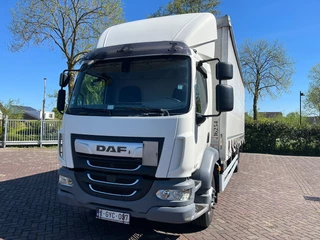DAF LF 290 2018 - FA obrazek 2