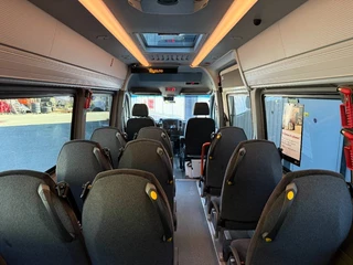 Mercedes-Benz Sprinter 2016 - 516CDI 4x4. 17+1 seats. bild 9