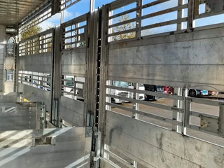 Pezzaioli N/A 2026 - New 3 stock livestock trailer 95.4M2 - Water & Ventilation - Lifting floors - Lifting roof - Lift axle immagine 25