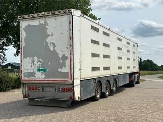 Berdex NO BERDEX HMK 4 stock livestock trailer SPF 2014 - N/A obrazek 6