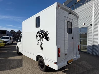 Opel Movano 2023 - Paardenwagen/Veewagen Hengsten Uitvoering Airco Cruisecontrol NIEUW image 5