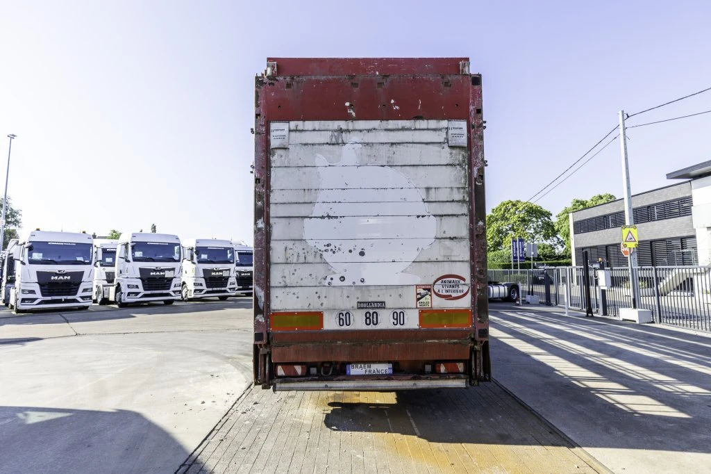Lecitrailer 2012 - CUELLO CISNE 3E-RD+DOUBLE ETAGE+DHOLLANDIA 2TON afbeelding 5