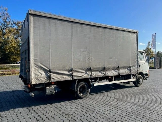 DAF LF 45.160 1992 - FA45.160 immagine 3