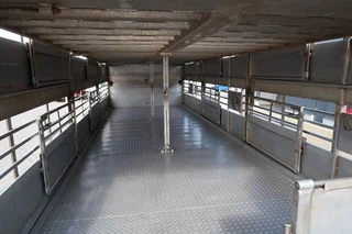 DAF XF 105 2012 - XF 105-460 - 2012 - 2-3 floors, Pigs transport zdjecie 22