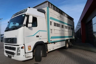 Volvo FH 2006 - 480 FH 480 Cattle transport image 2