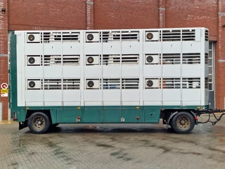 DAF XF 440 2015 - SuperSpaceCab 6x2*4 - Cuppers 1-2-3 deck Livestock + Cuppers 3 deck trailer 2009 obrazek 78