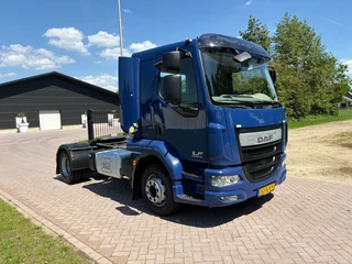 DAF LF 260 2017 - TREKKER 26 TON 2017 immagine 2
