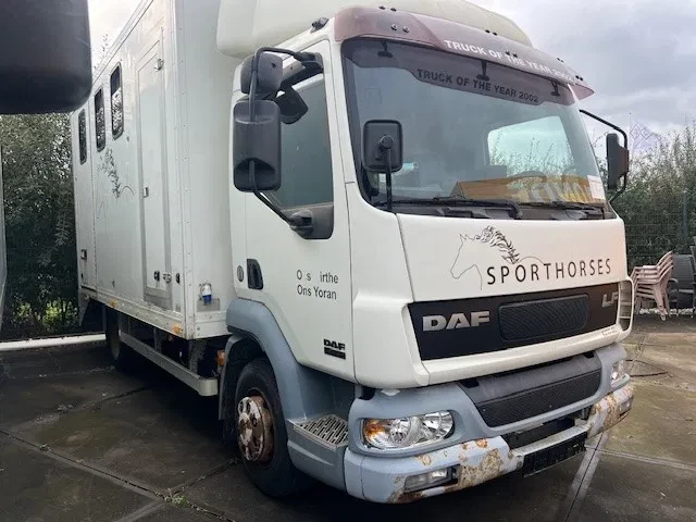 DAF LF 180 2002 - FA45.180 LF immagine 2