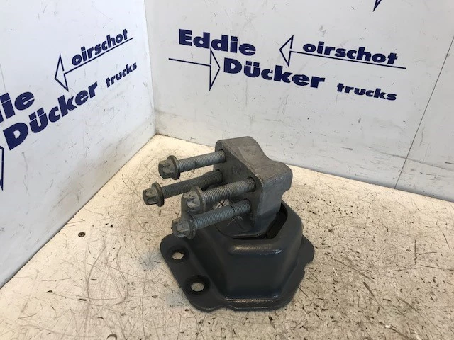 DAF 2018 - 1897780-2136889 TRILLINGSDEMPER ACHTER obrázek 1