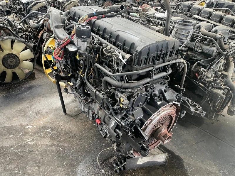 DAF 2015 - MX-11 291 H1 immagine 2