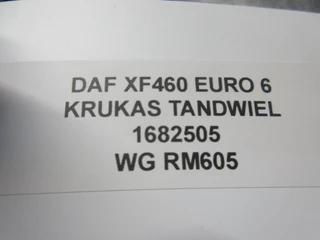 DAF XF 460 - 1682505 KRUKAS TANDWIEL EURO 6 afbeelding 3 miniatuur