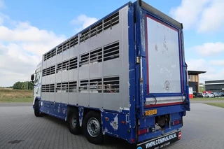 DAF XF 105 2012 - XF 105-460 - 2012 - 2-3 floors, Pigs transport image 3