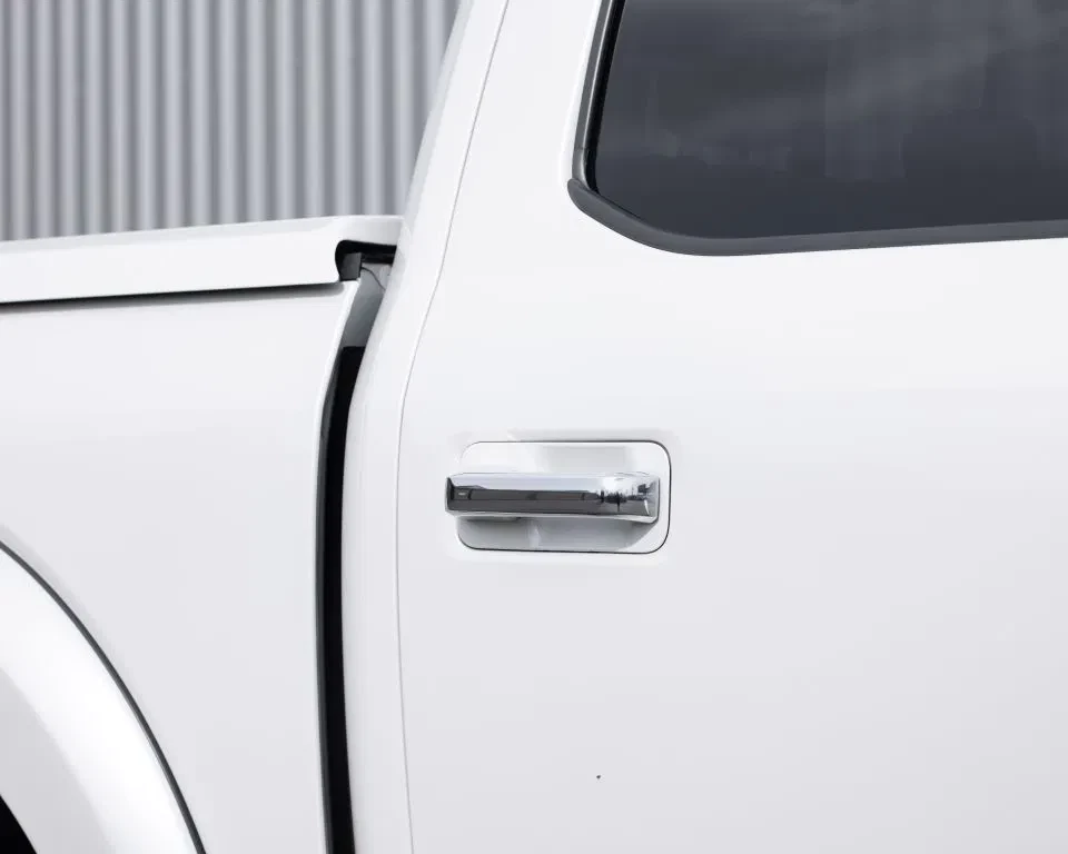 Ford F-150 2019 - (USA) Harley Davidson V8 5.0L Tuscany Motor Co. afbeelding 22