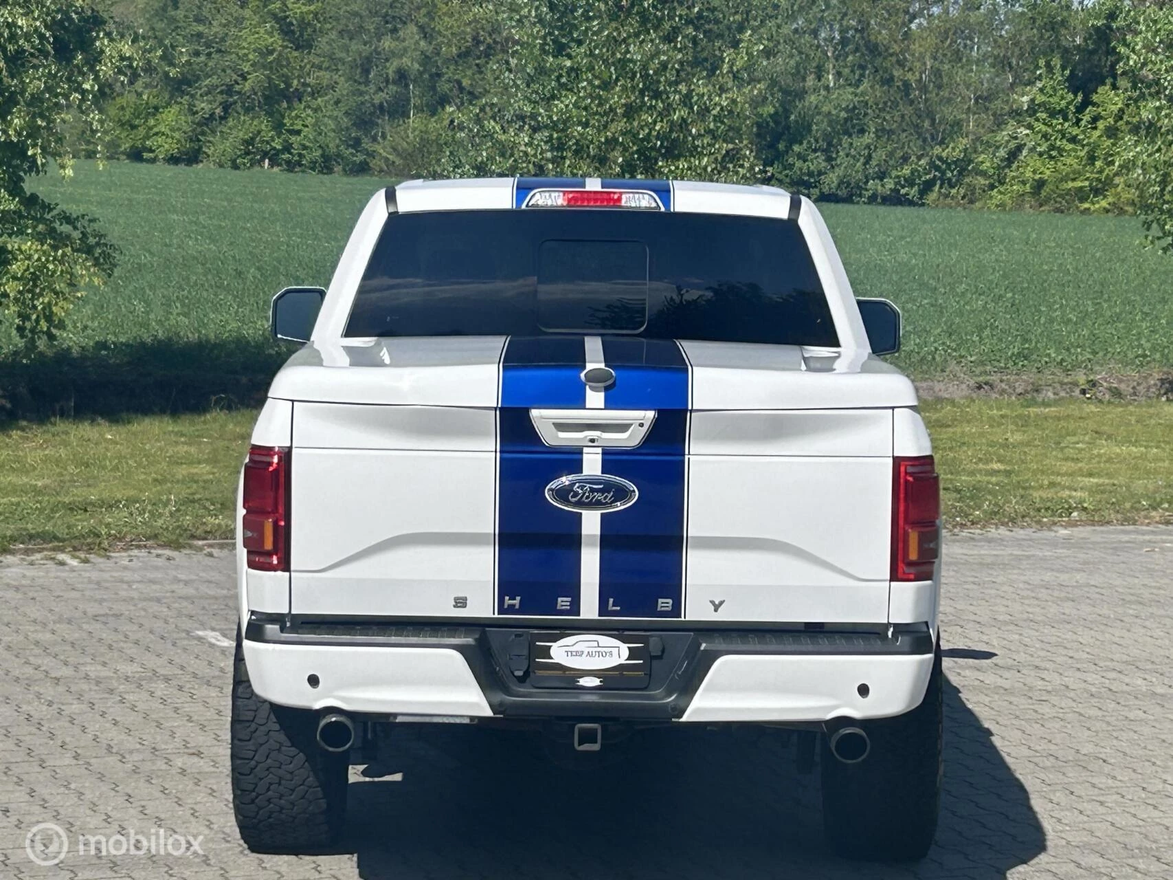 Ford F-150 2016 - USA Shelby zdjęcie 11