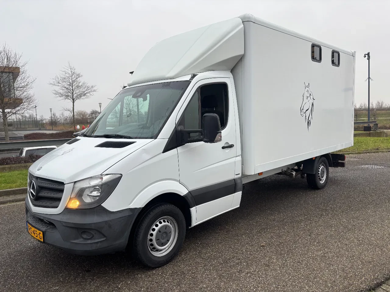 Mercedes-Benz Sprinter 2014 - 316CDI Paardenwagen/schapen pony's/ en klein vee /Veewagen Airco Cruisecontrol Trekhaak imagen 2