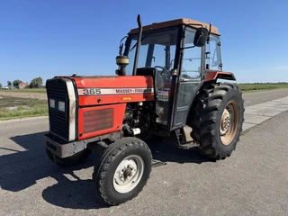 Massey Ferguson 365 1987 te koop