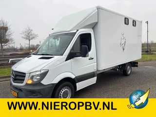 Mercedes-Benz Sprinter 2014 - 316CDI Paardenwagen/schapen pony's/ en klein vee /Veewagen Airco Cruisecontrol Trekhaak afbeelding 1