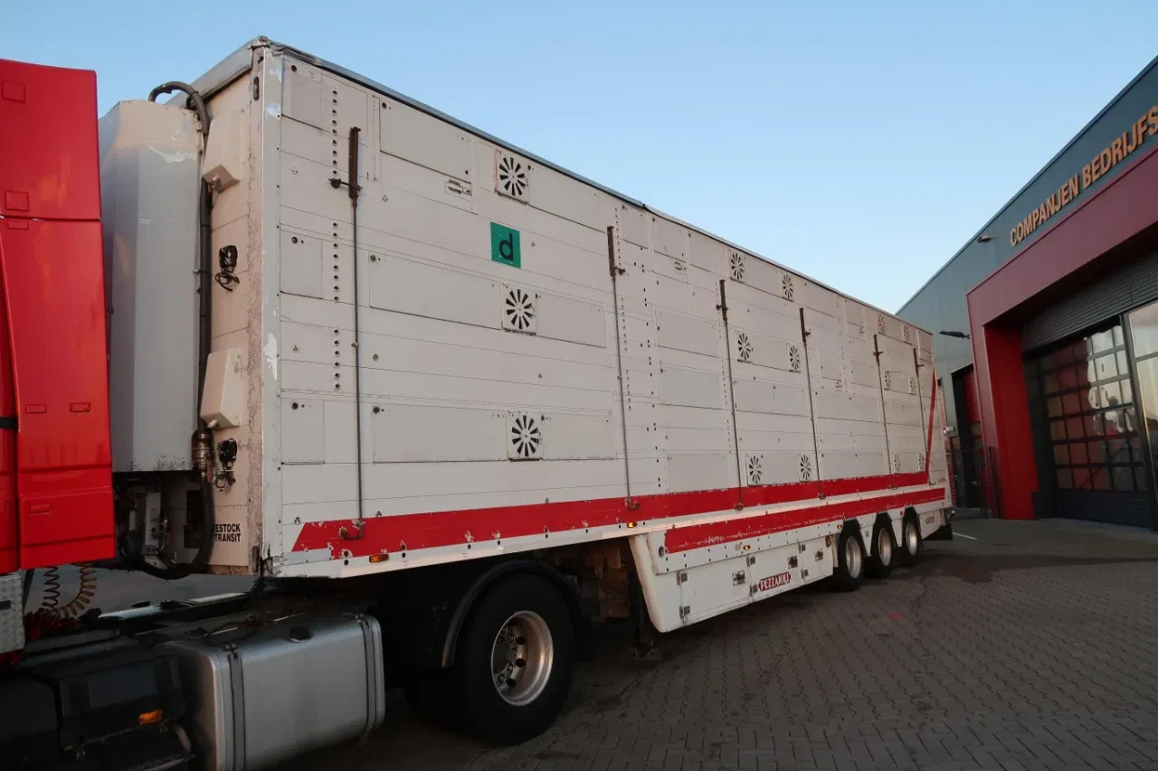 Pezzaioli 2003 - SBA 32 - Cattle transport obrázek 2