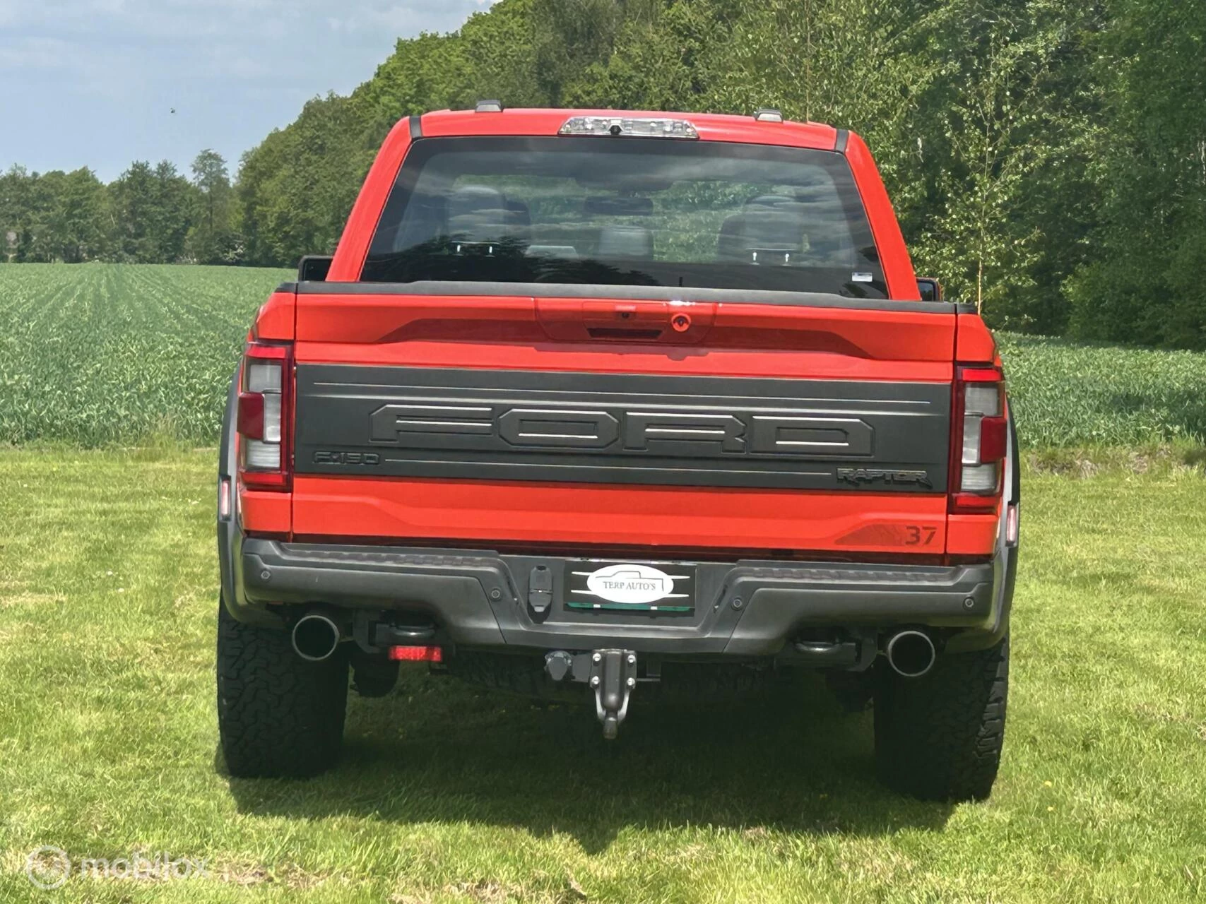 Ford F-150 2024 - USA Raptor image 6