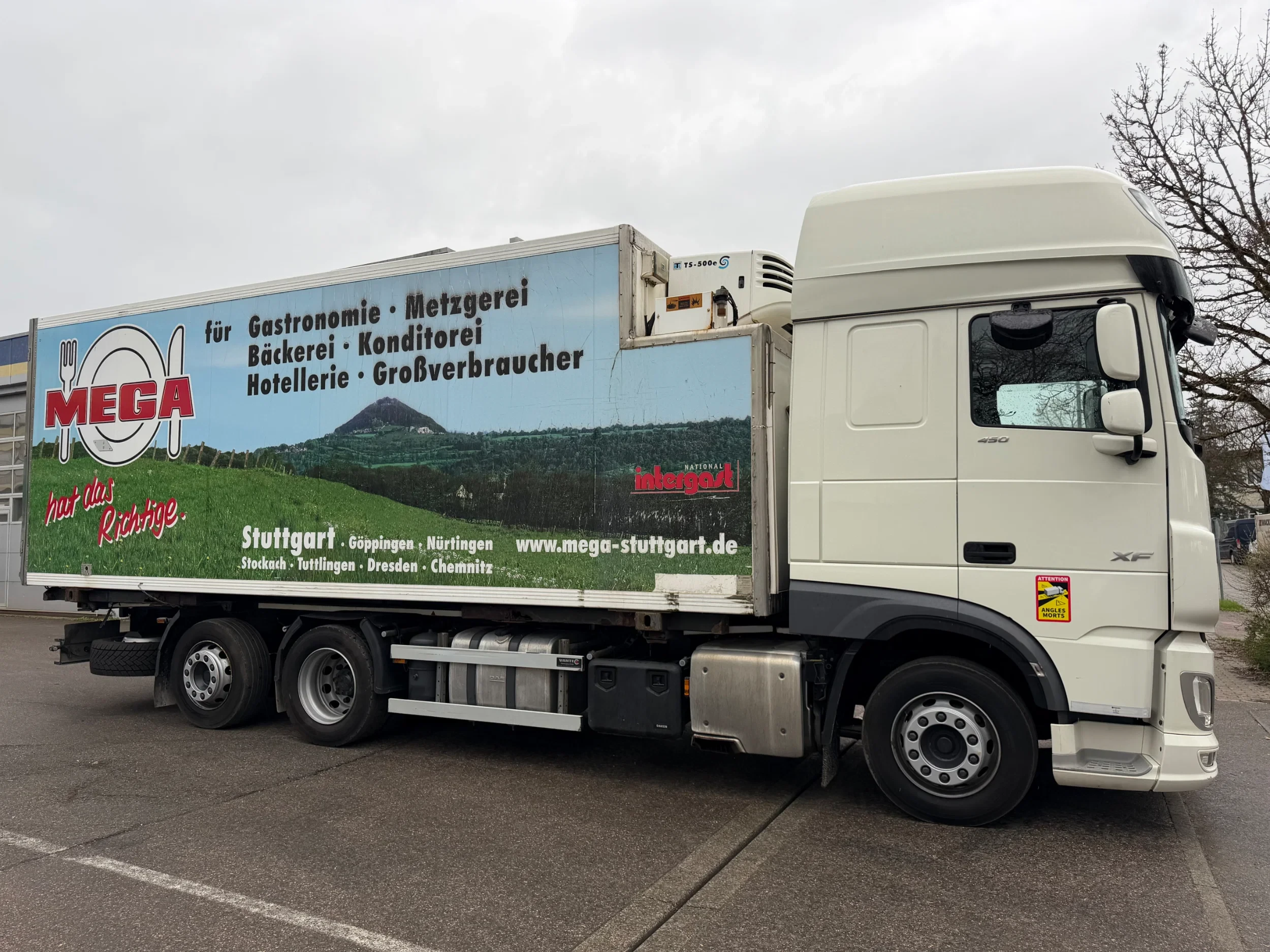 DAF XF 106.450 2019 - FLEISCHKOFFER, 6x2, Rohrbahnen, E6D afbeelding 6