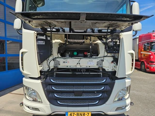 DAF XF480 2019 - SSC Night airco Euro 6D obrazek 8
