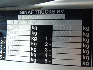 Ginaf X 4243 TS 2010 - N/A obrazek 31